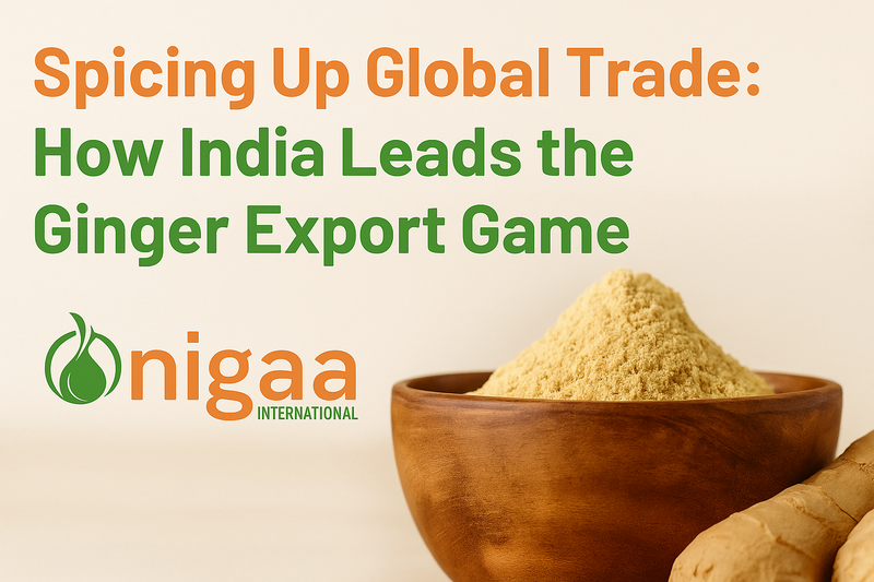 Global Ginger Powder Demand Booms as Importers Turn to India