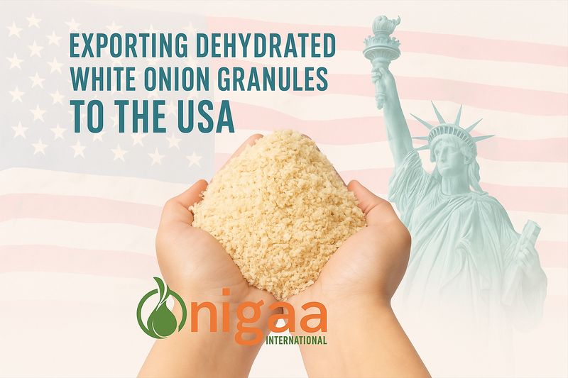 Importing Dehydrated White Onion Granules from India: Benefits for U.S. Food Businesses