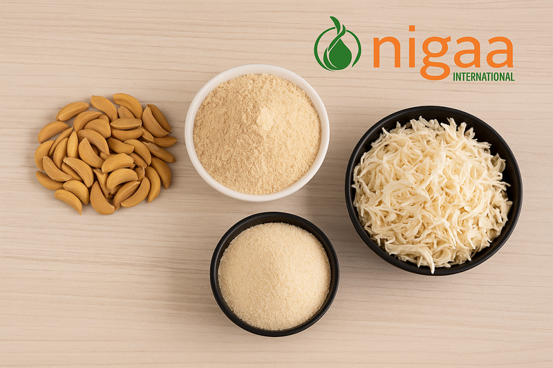 Dehydrated Onion & Garlic Supplier for Food Importers in New York, USA