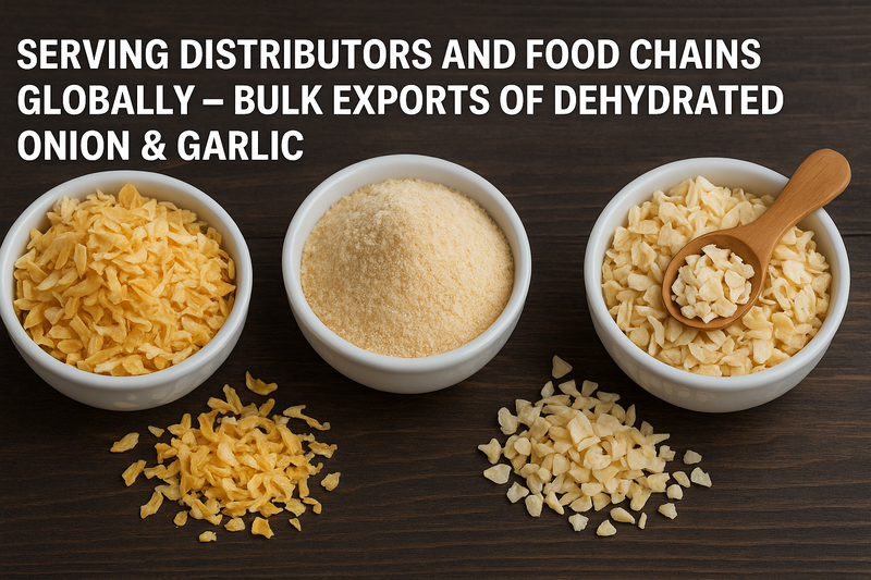 Serving Distributors and Food Chains Globally – Bulk Exports of Dehydrated Onion & Garlic