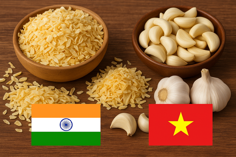 How to Find Trusted Suppliers of Dehydrated Onion and Garlic from India to Vietnam