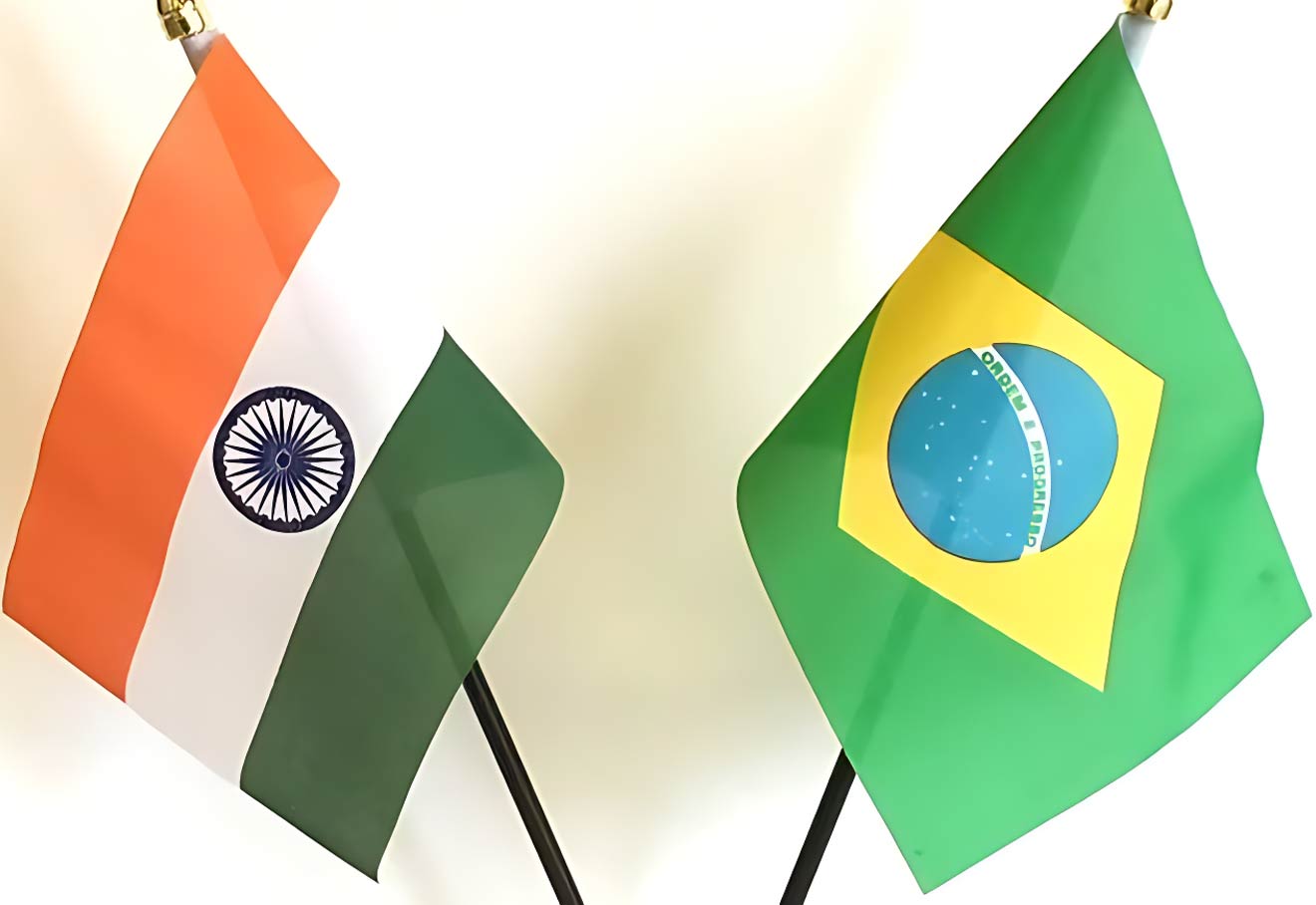 Finding a Trusted Dehydrated Onion and Garlic Supplier from India to Brazil? Onigaa International is Here for You!