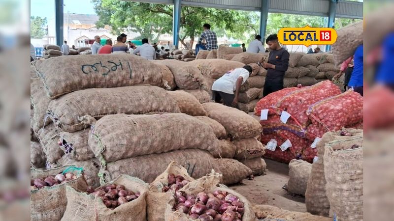 Our Story: From Mahuva’s Fields to the World – The Journey of Onigaa International 🌱🌍