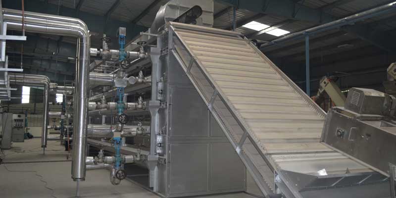 Why Onigaa International is a Trusted Name in Dehydrated Onion & Garlic Exports